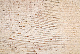 grunge white painted barn wood texture