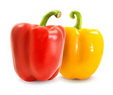 Two red and yellow pepper  
