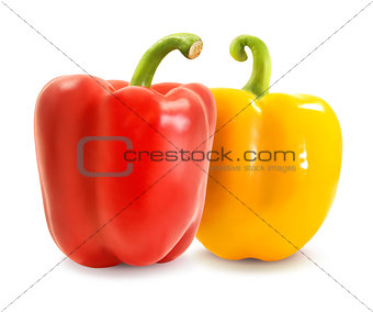 Two red and yellow pepper  