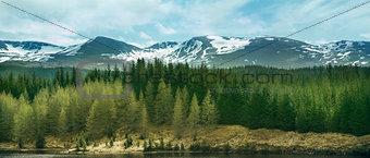 Highland Mountains and Forests