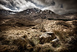 Scottish Highlands Landscape