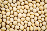 macadamia nuts background texture