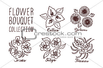 Handsketched bouquets collection