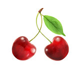 Two red cherries  