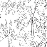 lilies pattern superposed