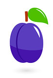 fruit icon with isolated plum