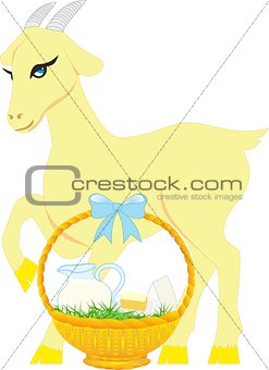 Goat with products, a basket of dairy products, a young animal, a livestock