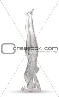 3D female figure in head stand position with spine