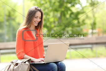 Entrepreneur working with a laptop in a park