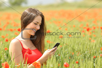 Girl texting in a smart phone in a colorful field
