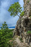 Gorge National Park Nerei- Beusnita, Romania
