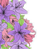 floral illustration