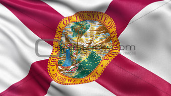 US state flag of Florida