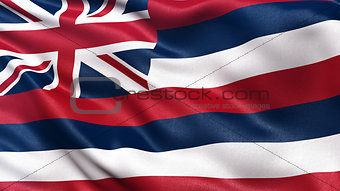 US state flag of Hawaii