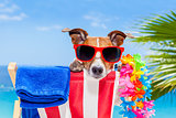 dog summer holiday vacation