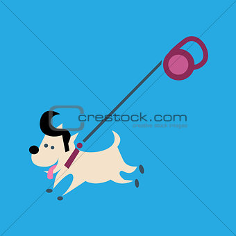 Small dog on a leash