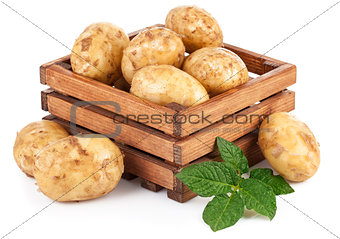 New potatoes in box with green leaves