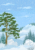 Winter Christmas Landscape with Trees and Snow