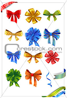 Set of gift bows with ribbons.