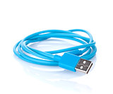Blue computer cable