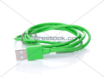 Green computer cable