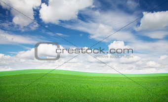 Green grass field and blue sky