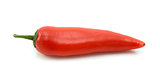 Single baby red pepper