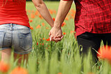 Back view of a couple holding hands in a field