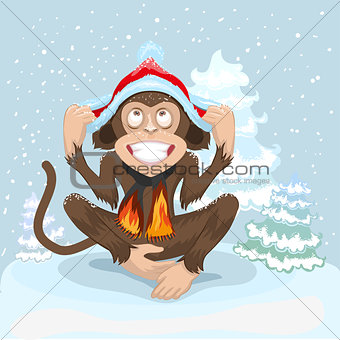 Monkey is sitting on snow and puts cap of Santa Claus