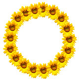background of sunflowers