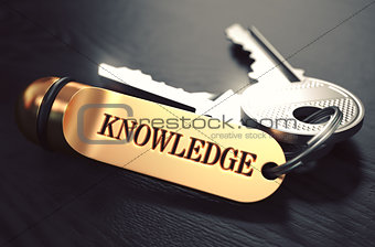 Keys to Knowledge. Concept on Golden Keychain.