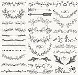 Vector Black Hand Drawn Dividers, Branches, Swirls