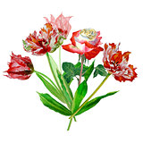 Background with tulips and roses-01