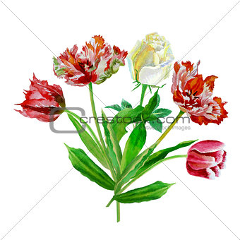 Background with tulips and roses-03