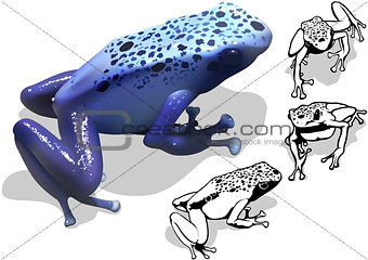 Blue Poison Dart Frog Set