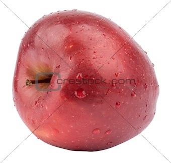Red apple with twig