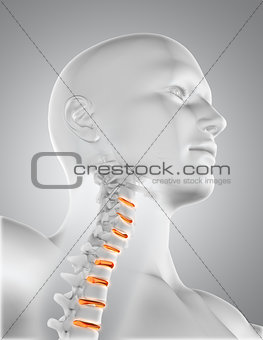 3D close up of male medical figure with throat skeleton