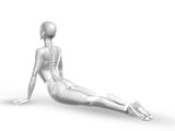 3D female medical figure with spine in yoga position