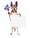 American Celebration Dog Holding Blank Sign
