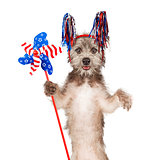 American Celebration Dog Holding Pinwheel