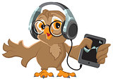 Owl with headphones listening to music