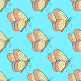 Sketch butterfly  in vintage style