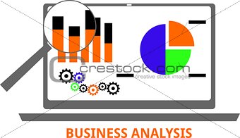 vector - business analysis