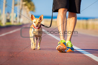 Dog and owner walking 