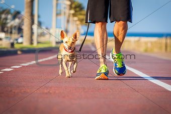 Dog and owner walking 
