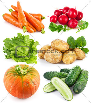Set fresh vegetables