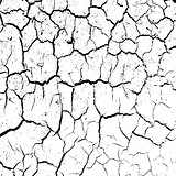 cracked clay ground into the dry season. 