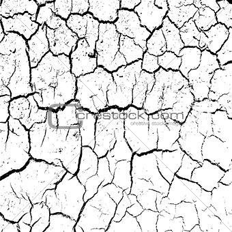 cracked clay ground into the dry season. 