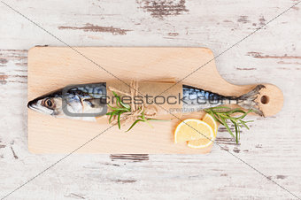 Fresh mackerel fish.