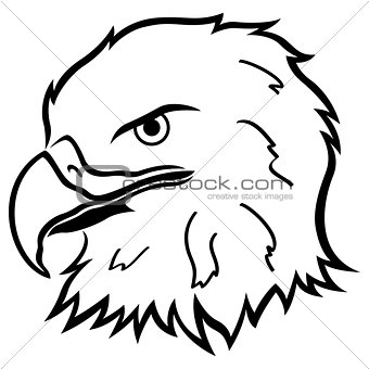 Head of Eagle